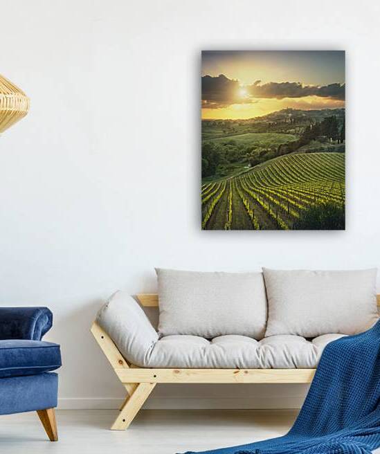 Maremma landscape. Vineyards at sunset and Casale Marittimo by Stefano Orazzini
