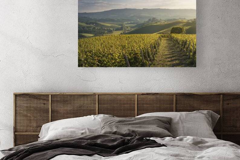 Langhe vineyards and Grinzane Cavour castle by Stefano Orazzini