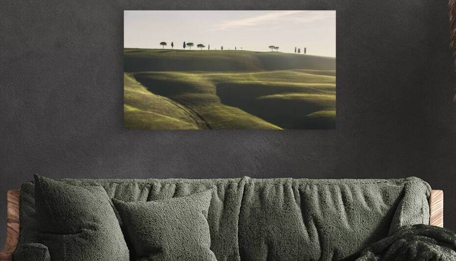 Rolling hills cypress and pine trees. Tuscany Italy by Stefano Orazzini