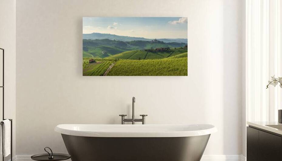 Langhe vineyards and Castiglione Falletto village. Italy by Stefano Orazzini