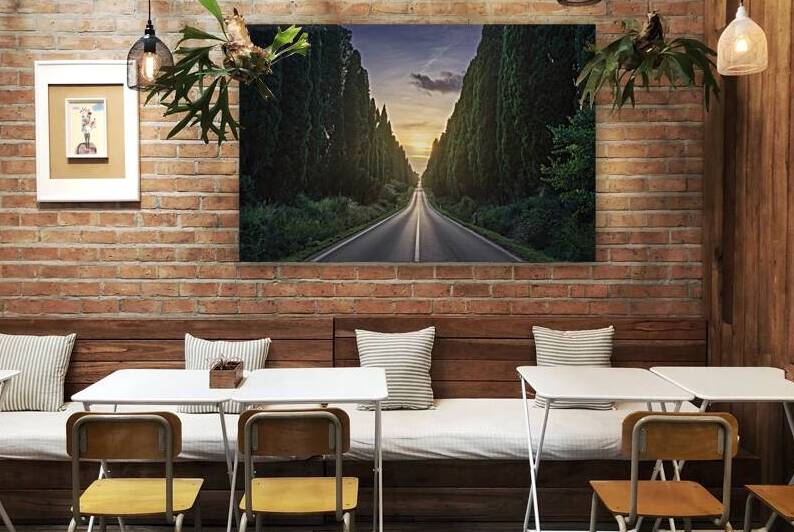 The cypress avenue of Bolgheri and the sun in the middle by Stefano Orazzini
