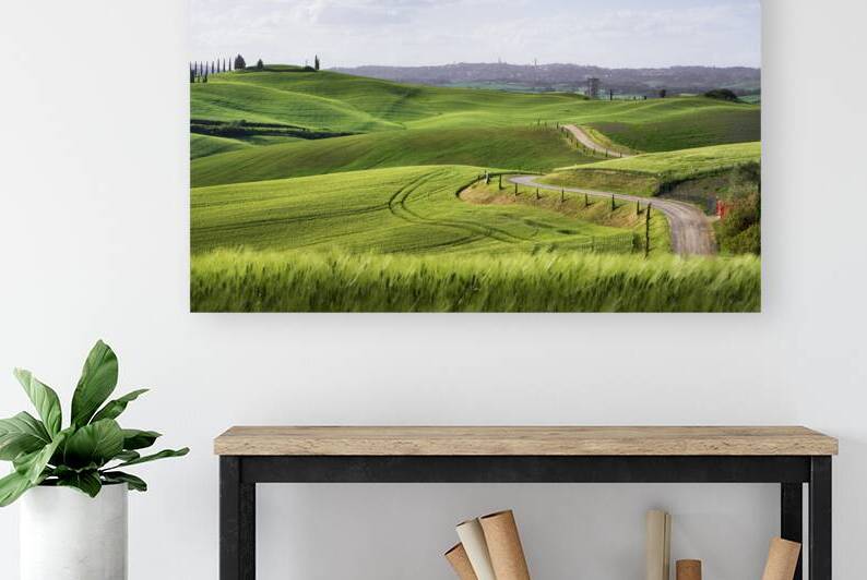 Route of the via Francigena and Siena city in the background by Stefano Orazzini