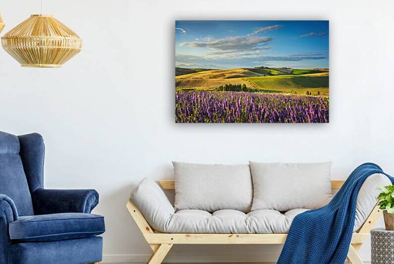 Lavender in Tuscany by Stefano Orazzini