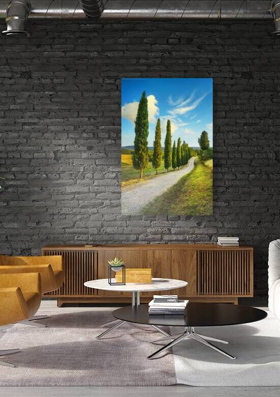 Cypress road in Tuscany. Certaldo by Stefano Orazzini