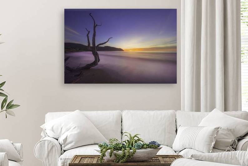 Baratti beach and old tree trunk at sunset. Tuscany by Stefano Orazzini