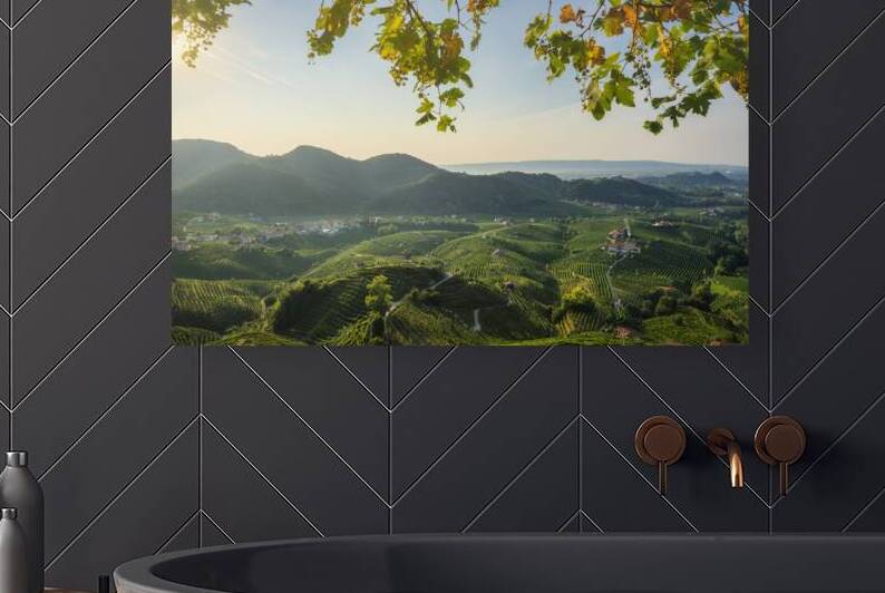 Prosecco Hills vineyards panorama. Italy by Stefano Orazzini