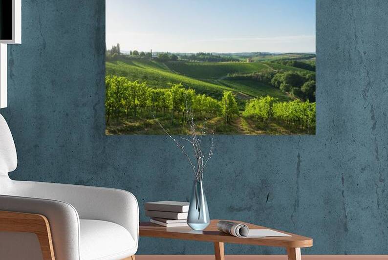 Vineyards in the San Gimignano countryside. Tuscany Italy by Stefano Orazzini