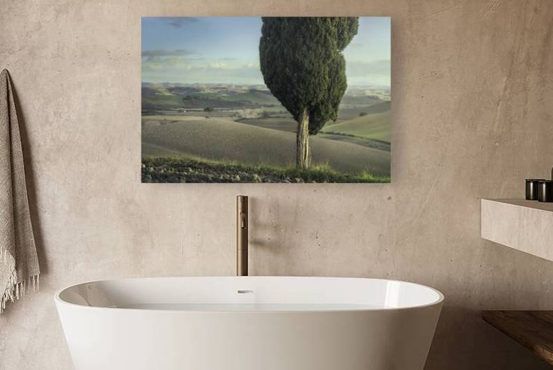 Cypress and pine on the hills of the Crete Senesi. Tuscany by Stefano Orazzini