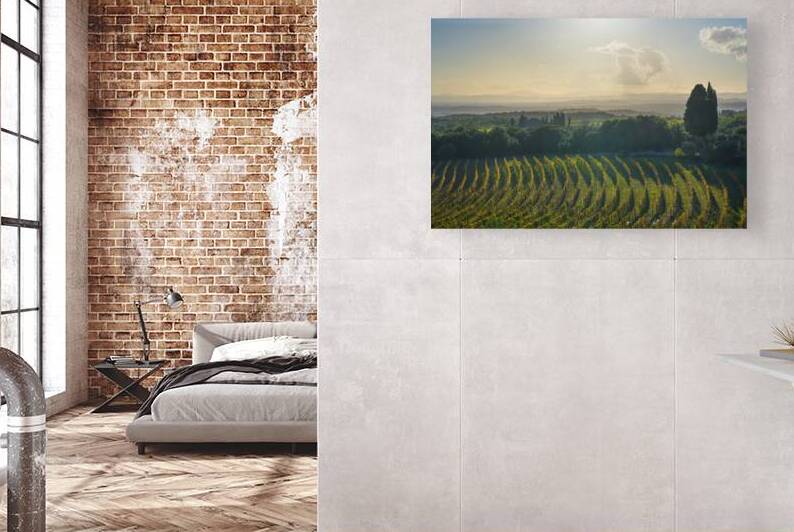 San Gusme Chianti vineyards panorama at sunset. Tuscany Italy by Stefano Orazzini