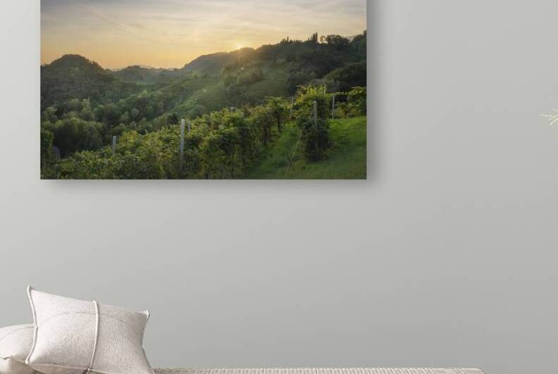 Prosecco Hills hogback vineyards at sunset. Unesco Site. Veneto by Stefano Orazzini