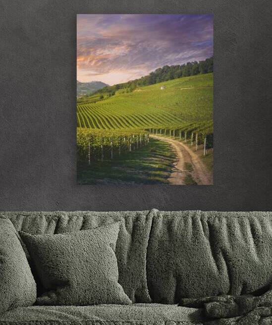Langhe vineyards view rural road Barolo and La Morra in the ba by Stefano Orazzini