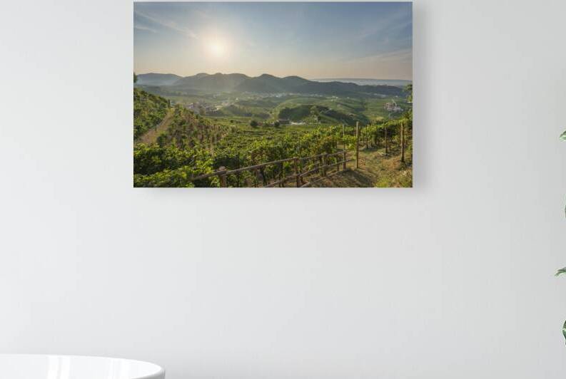 Prosecco Hills vineyards panorama in the morning. Italy by Stefano Orazzini
