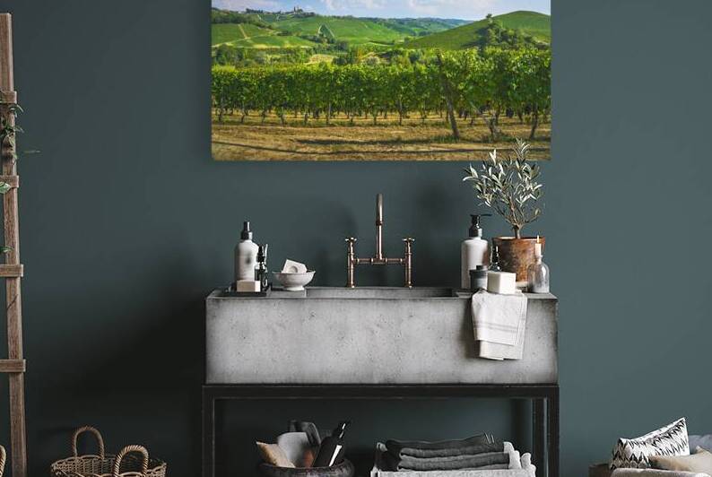 Langhe vineyards panorama. Italy by Stefano Orazzini