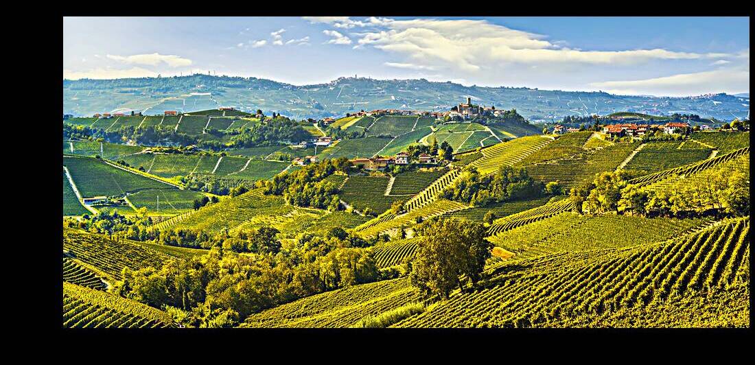 Langhe vineyards landscape and Castiglione Falletto. by Stefano Orazzini