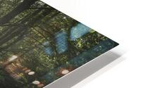 Three trees in the forest HD Metal print