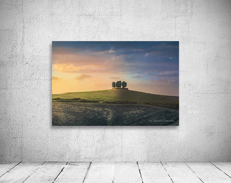Cypress grove sunset Wall Preview