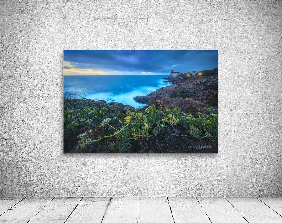 Boccale castle on the rocks rough sea and a plant Wall Preview