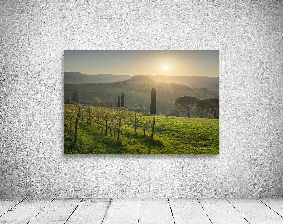 Chianti vineyards landscape at sunset. Tuscany Wall Preview