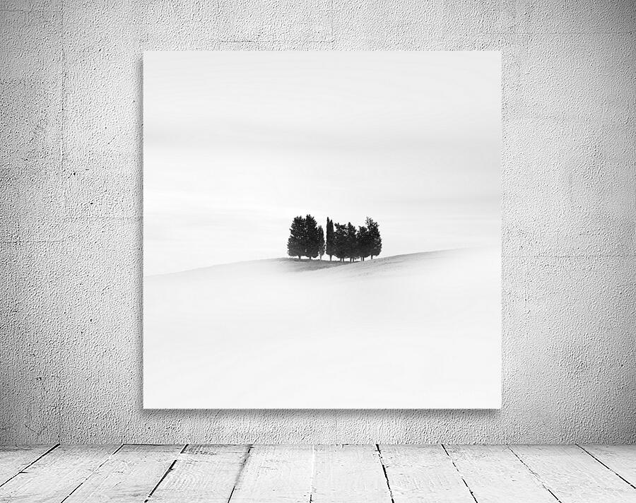 Eleven Trees Wall Preview