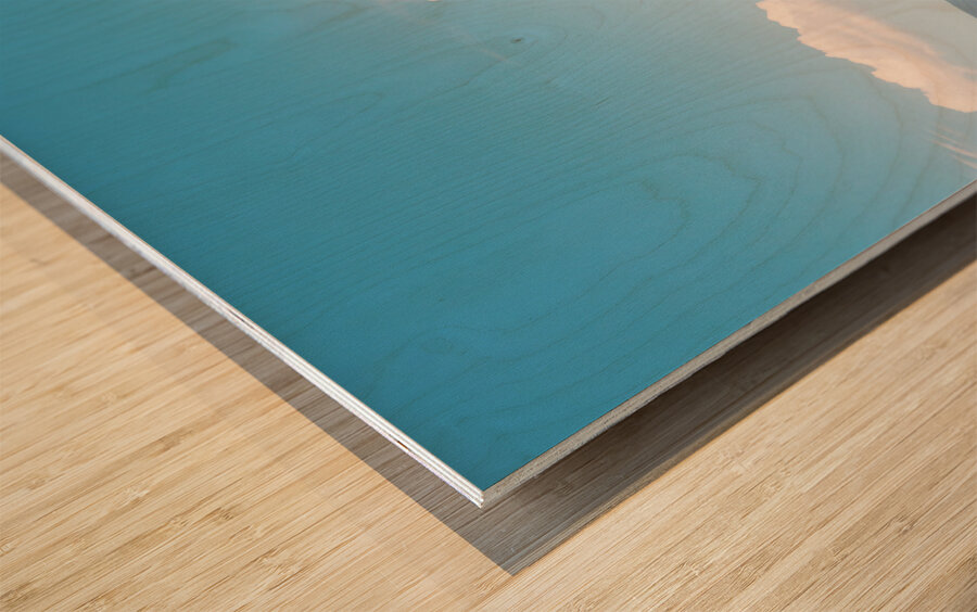 Lavender field a house and a tree. Provence France Wood print