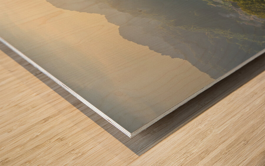 Prosecco Hills vineyards at sunset Wood print