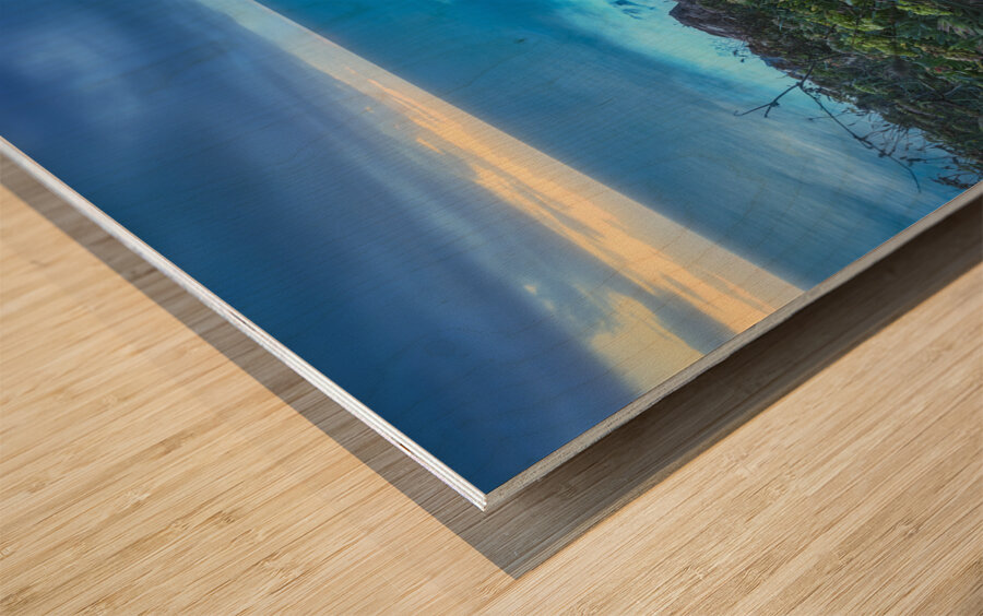 Boccale castle on the rocks rough sea and a plant Wood print