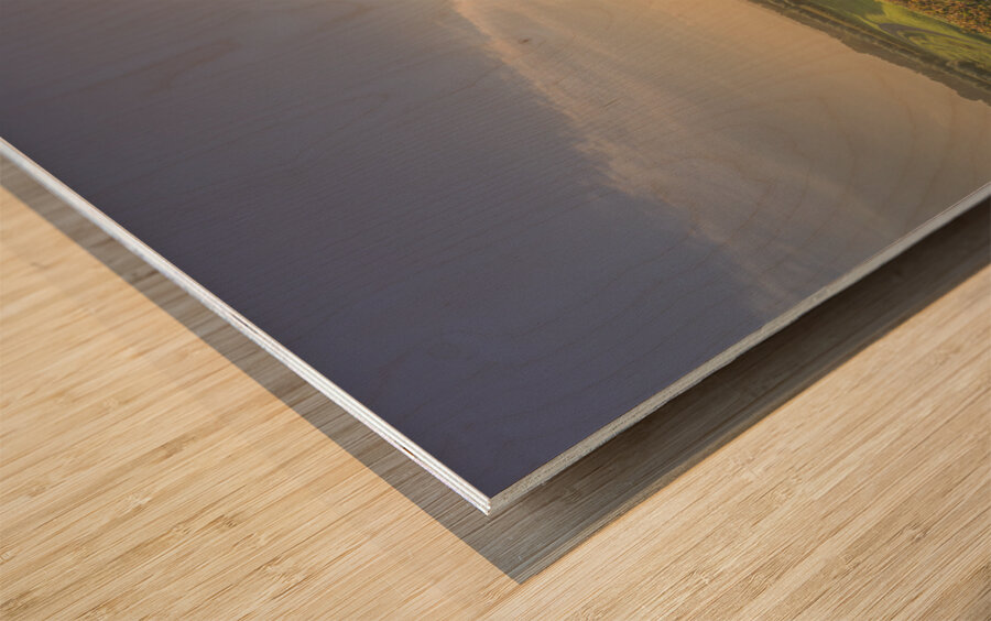 Bolgheri vineyards and trees in a foggy sunset Wood print