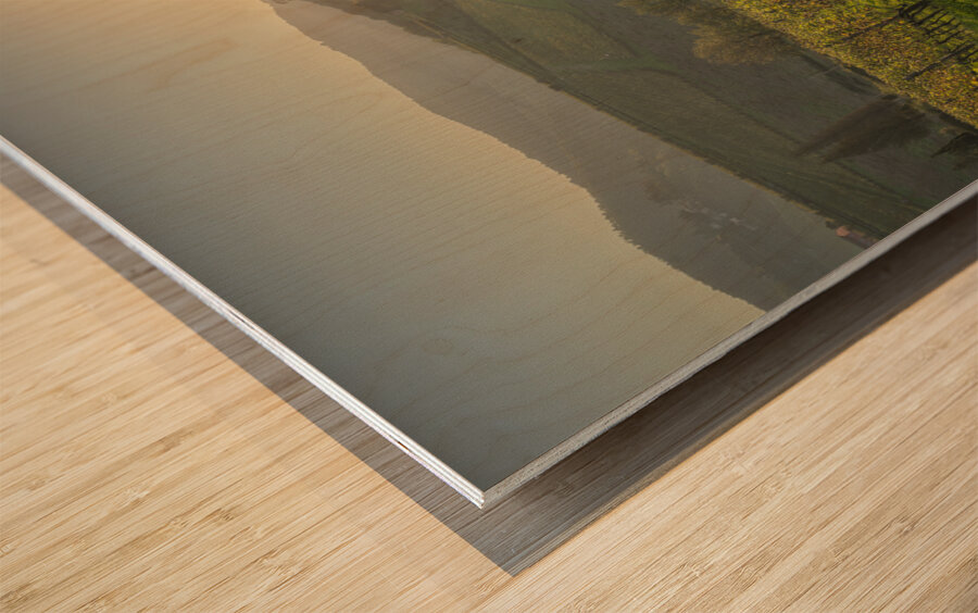 Chianti vineyards landscape at sunset. Tuscany Wood print