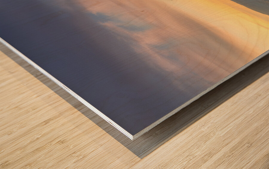 Assisi town and Santa Maria Maggiore church. Umbria Italy Wood print