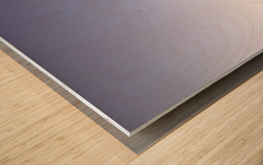 Cypress tree along the route of the via Francigena. Tuscany Wood print