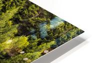 Green Forest Trees HD Metal print