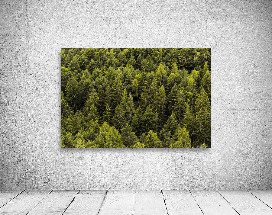 Green Forest Trees Wall Preview