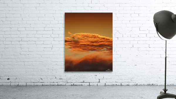 untitled 83 Wall Preview
