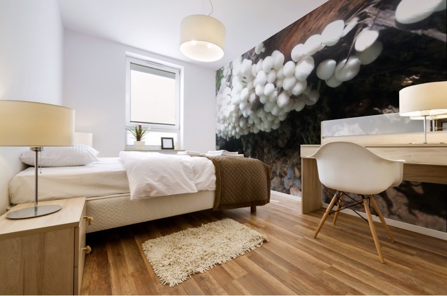 white mushrooms Mural print