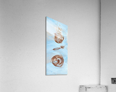 cuisine-1 Acrylic Print