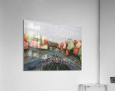 IMG 2116 Acrylic Print