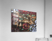 IMG 2136 Acrylic Print