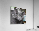madame Bi Acrylic Print