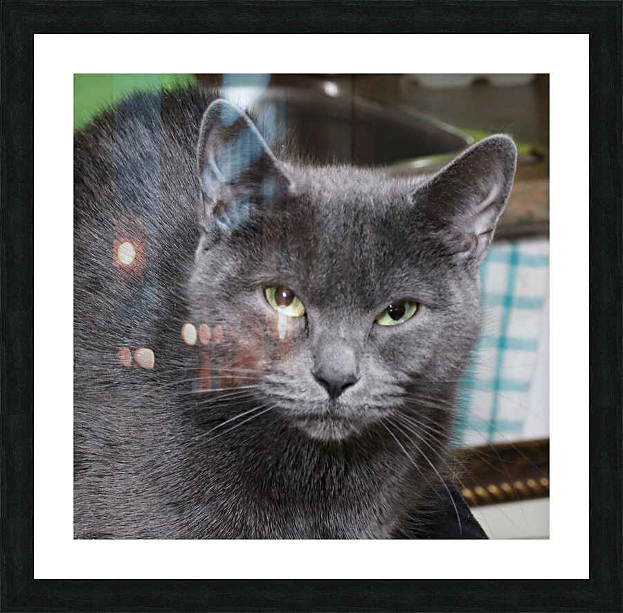 madame Bi Picture Frame print