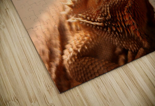 dragon-barbue Marc thibeault puzzle