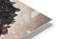 IMG 2088 HD Metal print