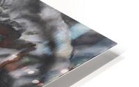 IMG 2130 HD Metal print