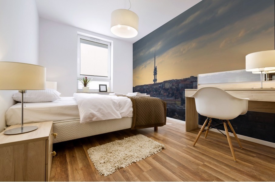 TV Tower panorama Mural print