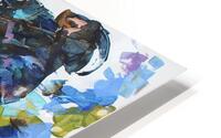984 - Gracieuse  HD Metal print