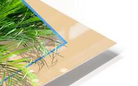 9079 - Paisible HD Metal print