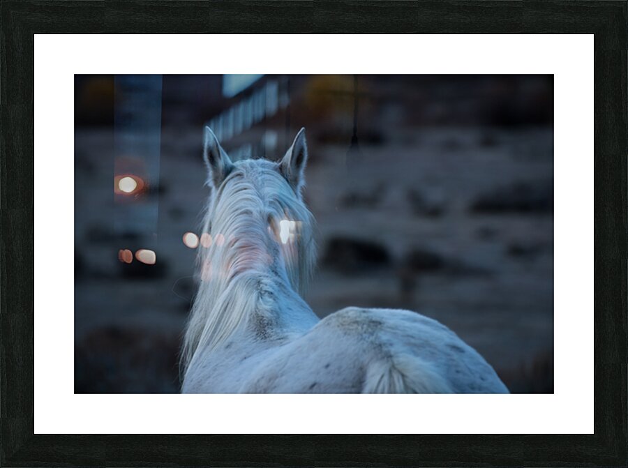 On the Saddle Picture Frame print