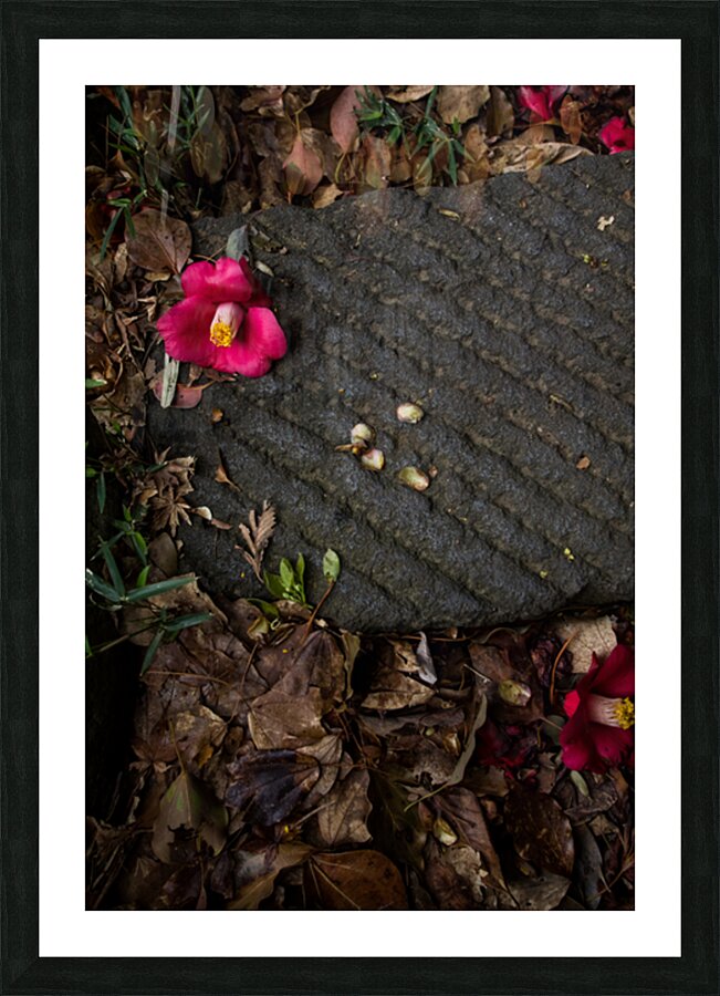 Felled Picture Frame print