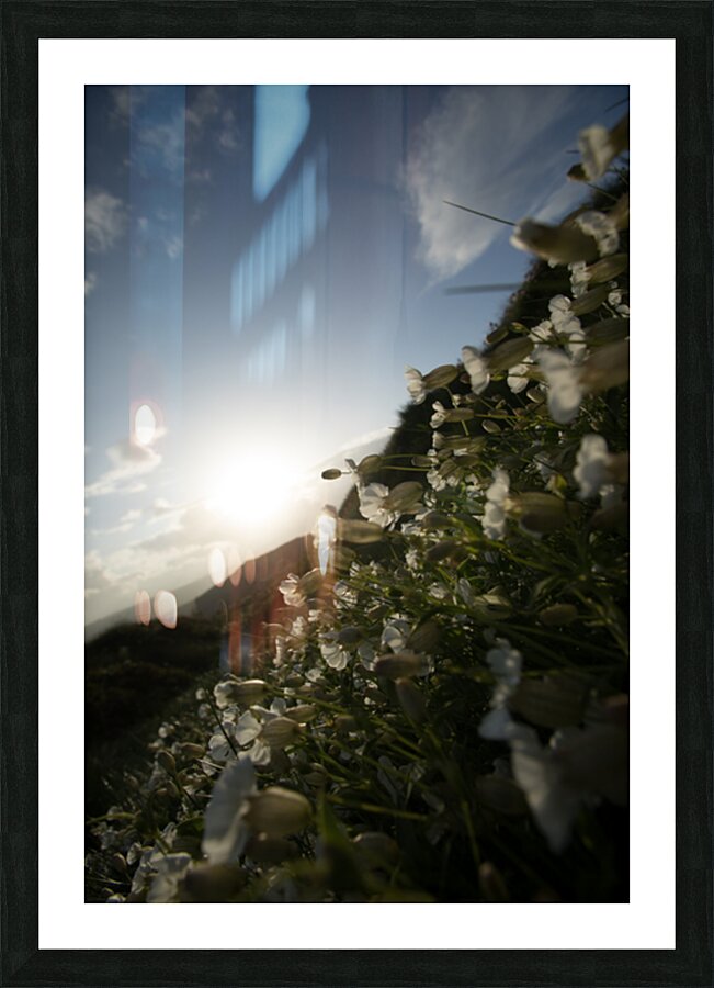 927A7546 Picture Frame print