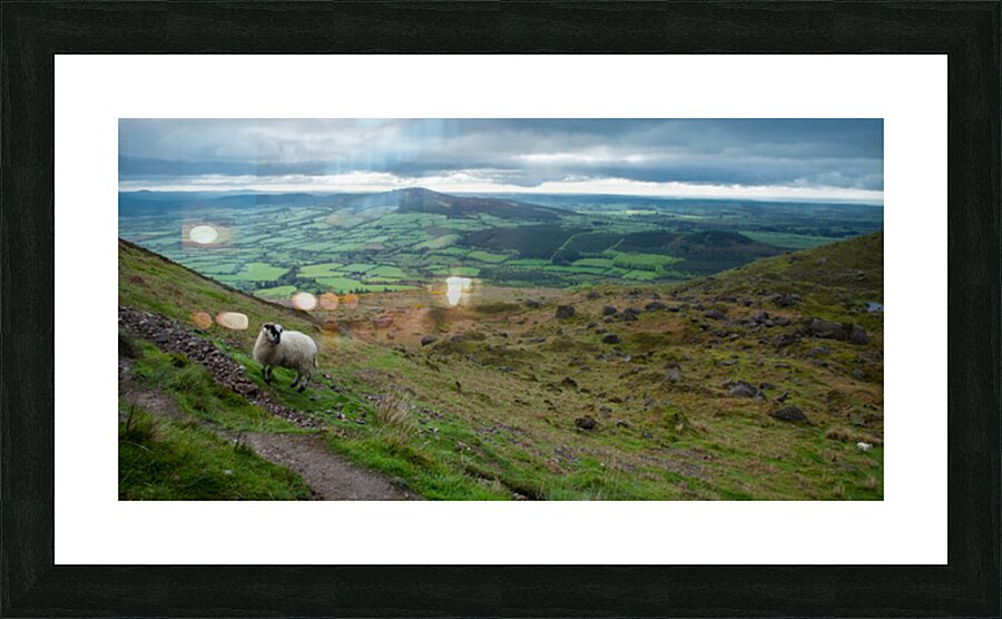 927A7864 Picture Frame print
