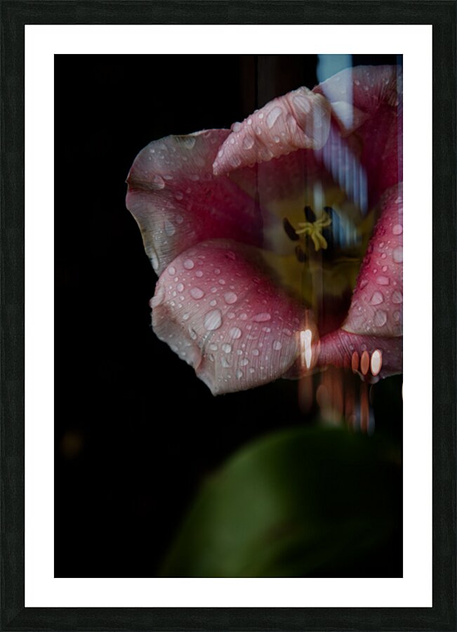 927A3749 2 Picture Frame print